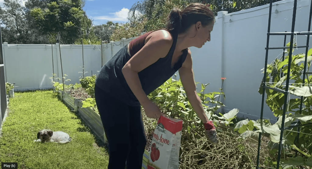 Fertilize garden